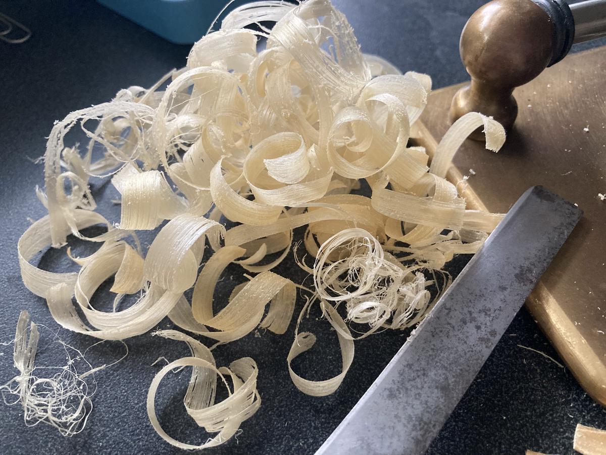 Cane shavings